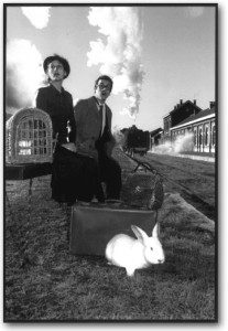 Quand un train vous pose un lapin